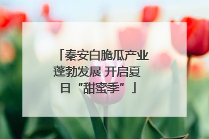 秦安白脆瓜产业蓬勃发展 开启夏日“甜蜜季”