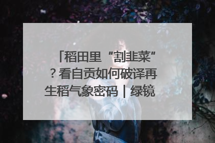 稻田里“割韭菜”？看自贡如何破译再生稻气象密码｜绿镜头·发现中国