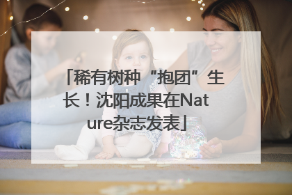 稀有树种“抱团”生长！沈阳成果在Nature杂志发表