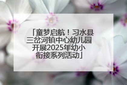 童梦启航！习水县三岔河镇中心幼儿园开展2025年幼小衔接系列活动