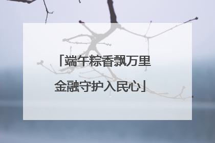 端午粽香飘万里 金融守护入民心