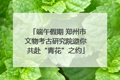 端午假期 郑州市文物考古研究院邀你共赴“青花”之约