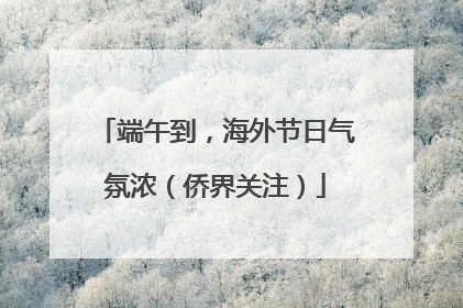 端午到，海外节日气氛浓（侨界关注）