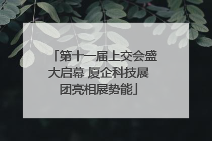 第十一届上交会盛大启幕 厦企科技展团亮相展势能