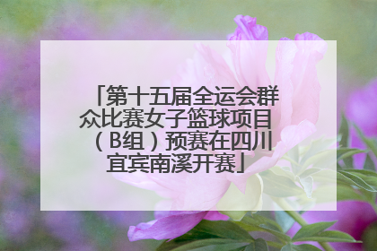 第十五届全运会群众比赛女子篮球项目（B组）预赛在四川宜宾南溪开赛