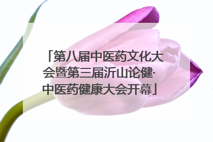 第八届中医药文化大会暨第三届沂山论健·中医药健康大会开幕