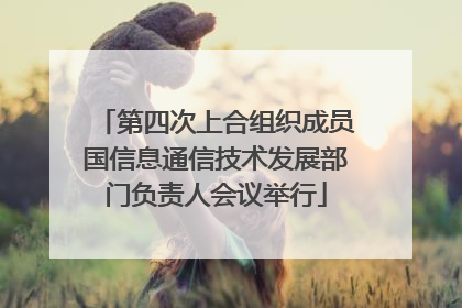 第四次上合组织成员国信息通信技术发展部门负责人会议举行