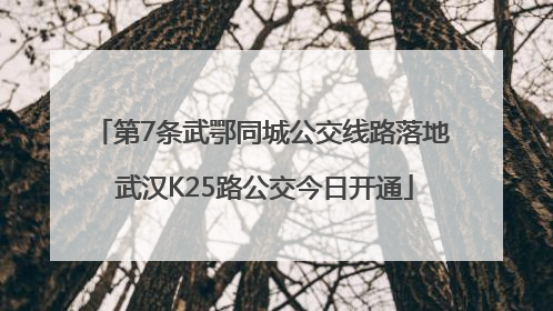 第7条武鄂同城公交线路落地 武汉K25路公交今日开通