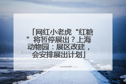 网红小老虎“红糖”将暂停展出？上海动物园：展区改建，会安排展出计划