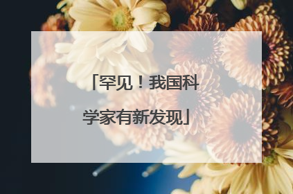 罕见！我国科学家有新发现