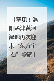 罕见！洛阳孟津黄河湿地再次迎来“东方宝石”彩鹮