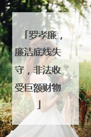 罗孝廉，廉洁底线失守，非法收受巨额财物