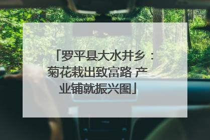 罗平县大水井乡：菊花栽出致富路 产业铺就振兴图