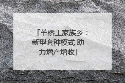 羊桥土家族乡：新型套种模式 助力增产增收