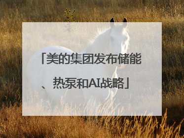 美的集团发布储能、热泵和AI战略