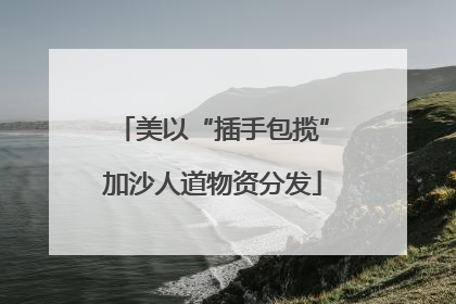 美以“插手包揽”加沙人道物资分发