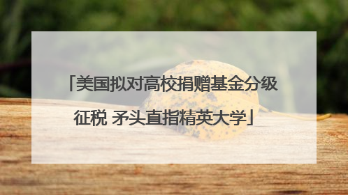 美国拟对高校捐赠基金分级征税 矛头直指精英大学