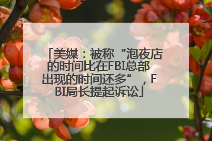 美媒：被称“泡夜店的时间比在FBI总部出现的时间还多”，FBI局长提起诉讼