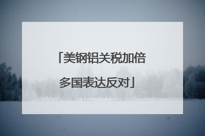 美钢铝关税加倍 多国表达反对
