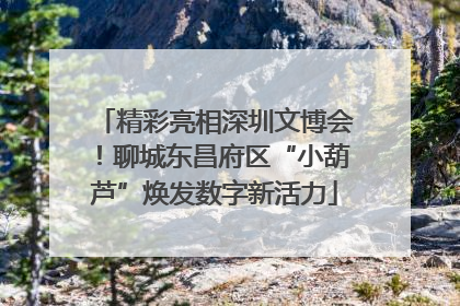 精彩亮相深圳文博会！聊城东昌府区“小葫芦”焕发数字新活力