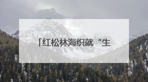 红松林海织就“生态+”富民画卷
