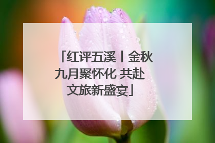 红评五溪丨金秋九月聚怀化 共赴文旅新盛宴