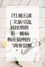 红观五溪｜文旅引流 科技增值 看一颗杨梅在靖州的“商业觉醒”