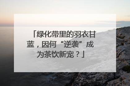 绿化带里的羽衣甘蓝，因何“逆袭”成为茶饮新宠？
