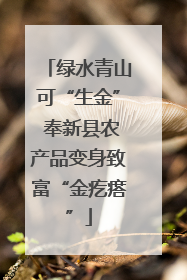 绿水青山可“生金” 奉新县农产品变身致富“金疙瘩”