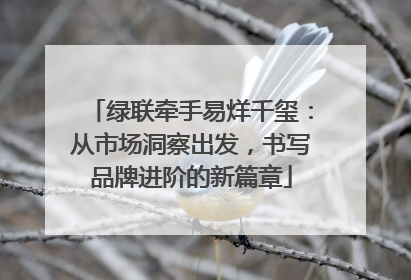 绿联牵手易烊千玺：从市场洞察出发，书写品牌进阶的新篇章