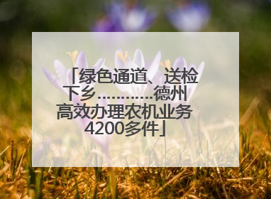 绿色通道、送检下乡…………德州高效办理农机业务4200多件