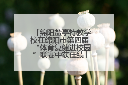 绵阳盐亭特教学校在绵阳市第四届“体育复健进校园”联赛中获佳绩