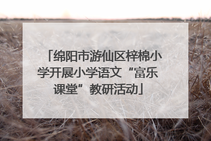 绵阳市游仙区梓棉小学开展小学语文“富乐课堂”教研活动