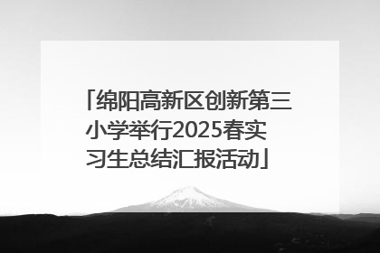 绵阳高新区创新第三小学举行2025春实习生总结汇报活动