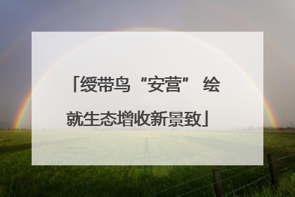 绶带鸟“安营” 绘就生态增收新景致