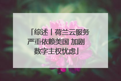 综述丨荷兰云服务严重依赖美国 加剧数字主权忧虑