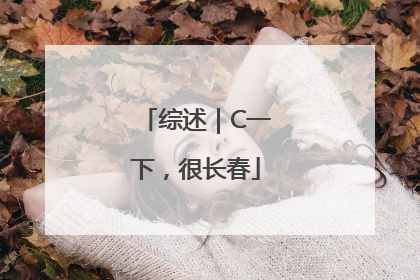 综述｜C一下，很长春