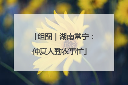组图｜湖南常宁：仲夏人勤农事忙