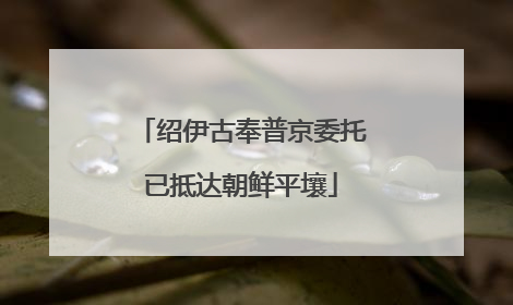 绍伊古奉普京委托已抵达朝鲜平壤