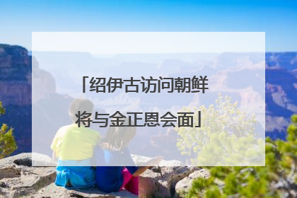 绍伊古访问朝鲜 将与金正恩会面