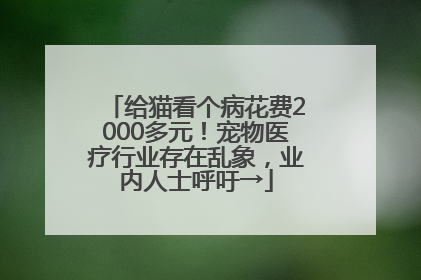 给猫看个病花费2000多元！宠物医疗行业存在乱象，业内人士呼吁→