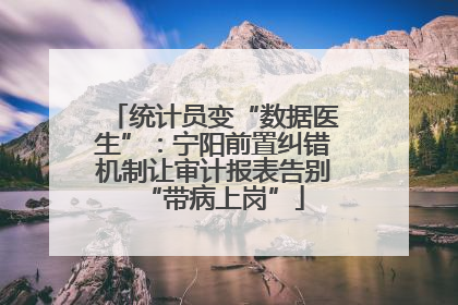 统计员变“数据医生”：宁阳前置纠错机制让审计报表告别“带病上岗”