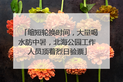 缩短轮换时间，大量喝水防中暑，北海公园工作人员顶着烈日验票