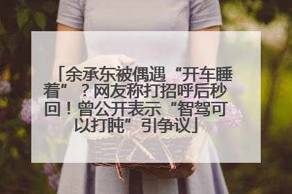 余承东被偶遇“开车睡着”？网友称打招呼后秒回！曾公开表示“智驾可以打盹”引争议