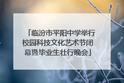 临汾市平阳中学举行校园科技文化艺术节闭幕暨毕业生壮行晚会