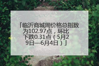 临沂商城周价格总指数为102.97点，环比下跌0.31点（5月29日—6月4日）