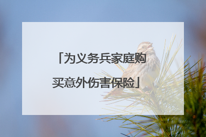 为义务兵家庭购买意外伤害保险