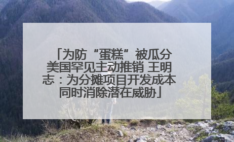 为防“蛋糕”被瓜分 美国罕见主动推销 王明志：为分摊项目开发成本同时消除潜在威胁