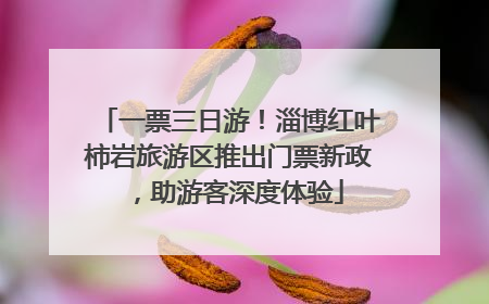 一票三日游！淄博红叶柿岩旅游区推出门票新政，助游客深度体验