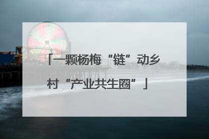 一颗杨梅“链”动乡村“产业共生圈”